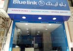 Blue-Link Services