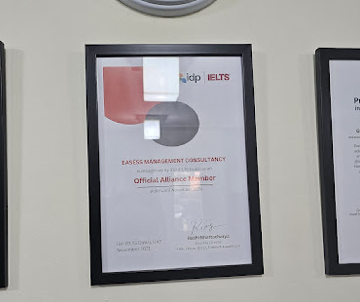 Easess International immigration
