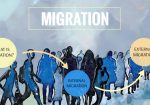 Emerge Migration