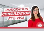 Immigration Consultants