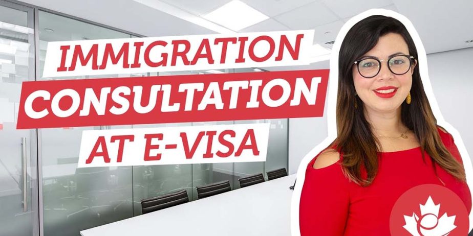 Immigration Consultants