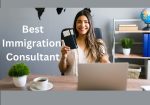 The Immigration Consultants