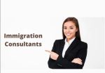 The Immigration Consultants