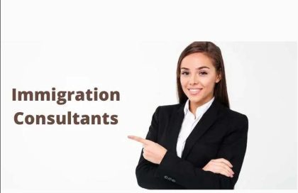 The-Immigration-Consultants-4