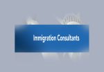 The Immigration Consultants
