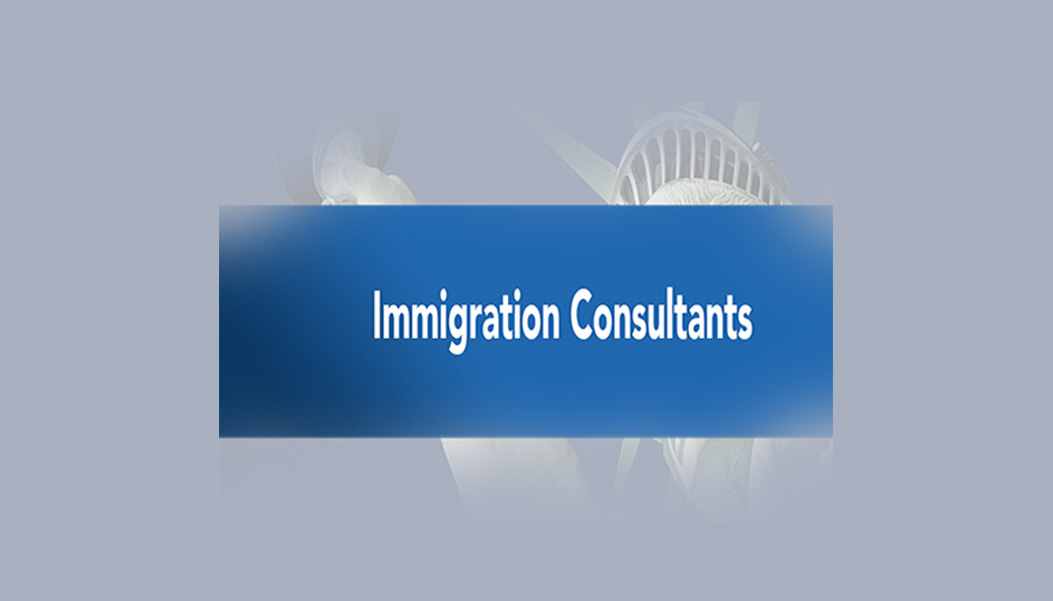 The Immigration Consultants