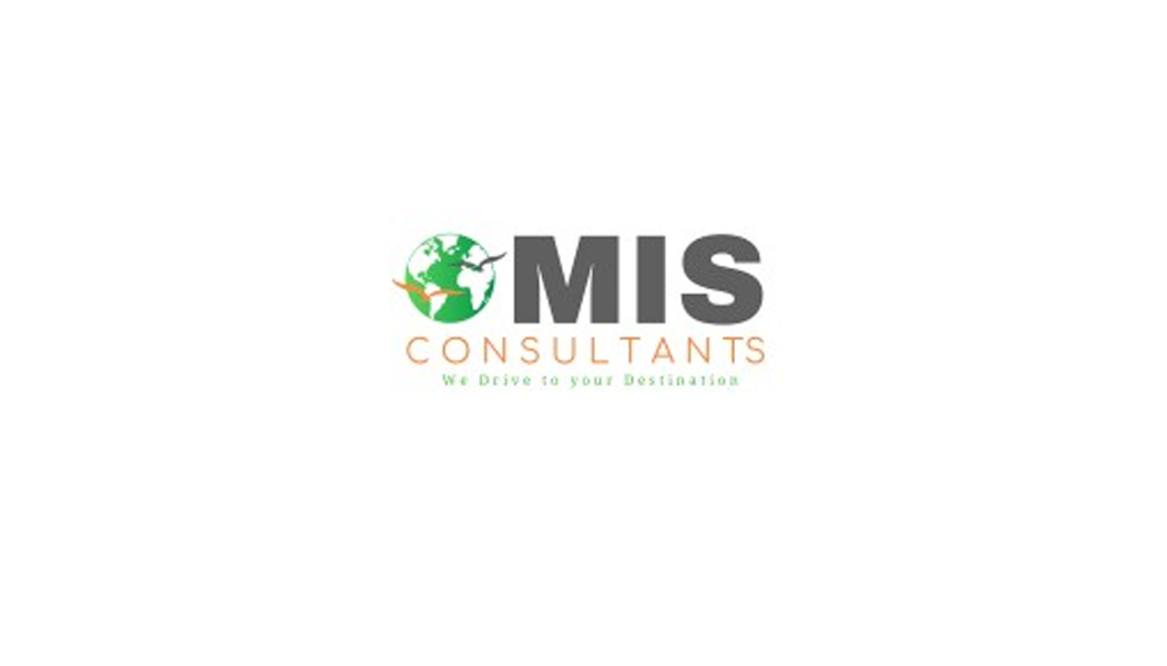 MIS Consultants